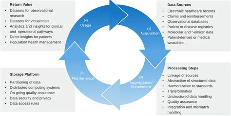 the phases of the data quality lifestyle are